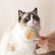 Brosse anti-poils pour chat et chien en acier inoxydable