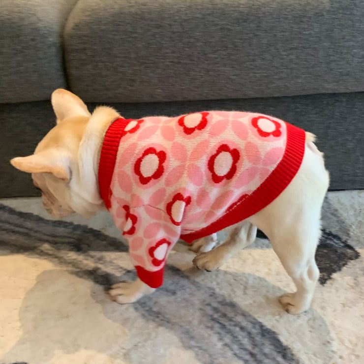 Pull jacquard pour chien automne-hiver