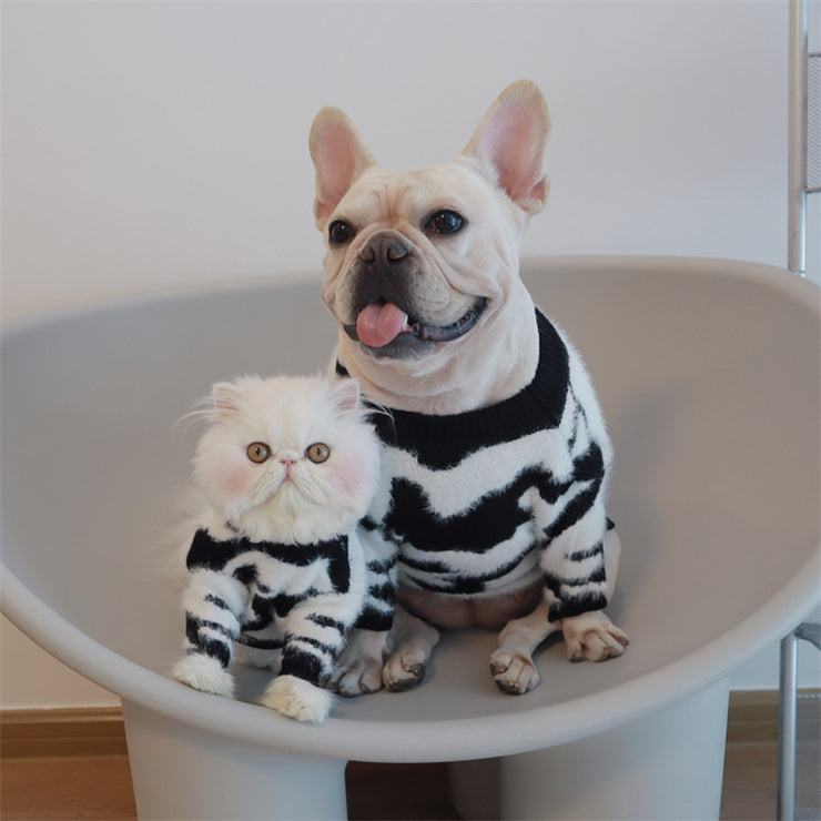 Nouveau pull pour chien automne-hiver