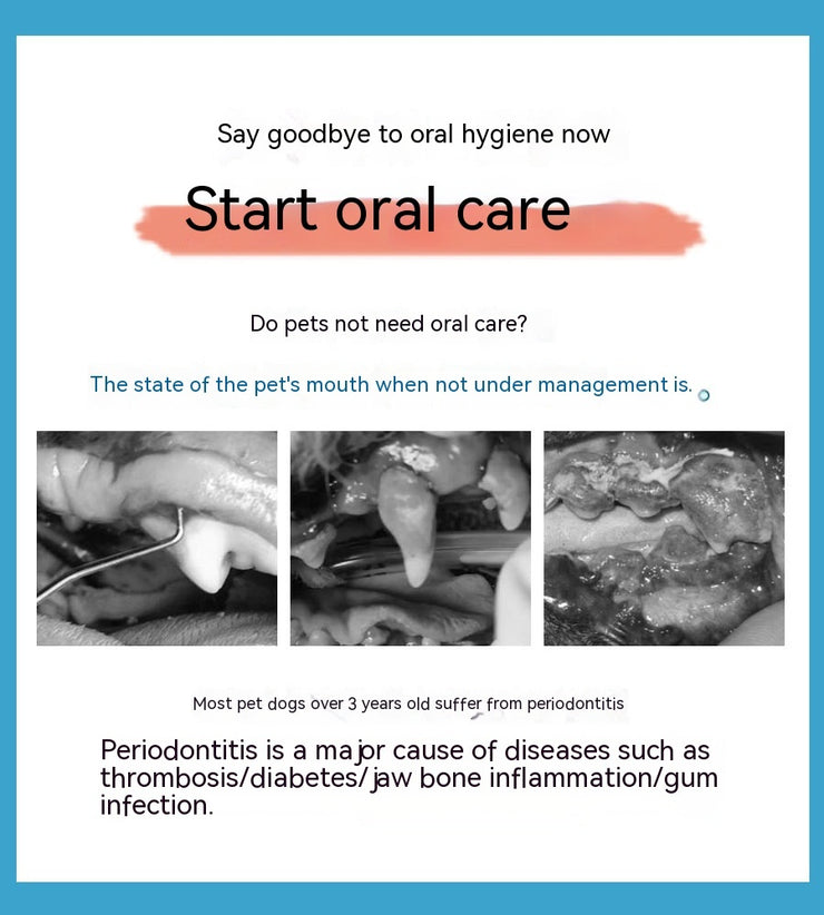 Brosse à dents 360° pour chien et chat avec dentifrice