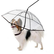 Dog Umbrella
