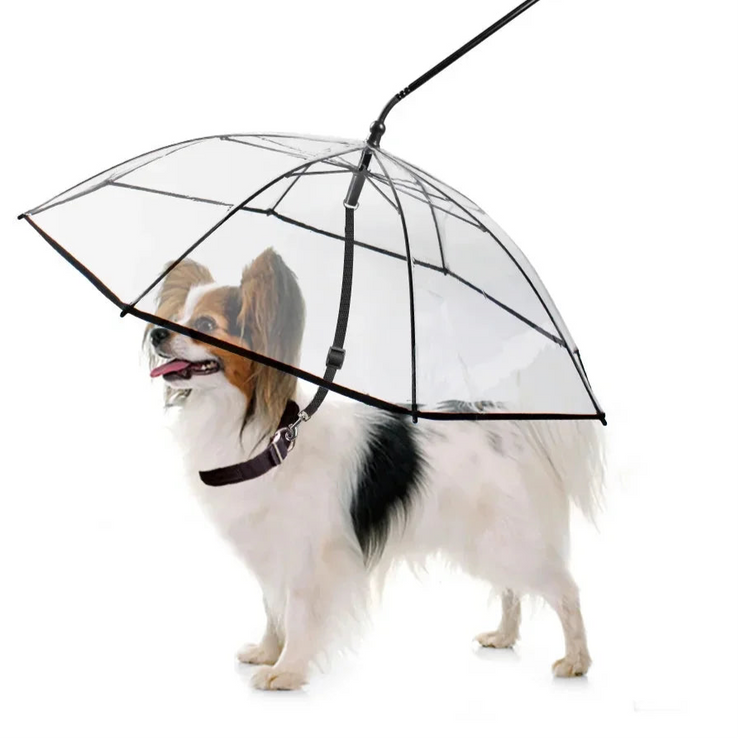 Dog Umbrella