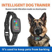 Collier anti-aboiement intelligent pour chien