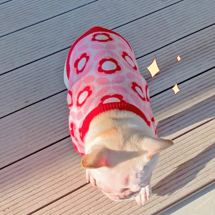 Pull jacquard pour chien automne-hiver