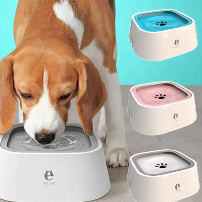 Gamelle d’eau anti-éclaboussures pour chien