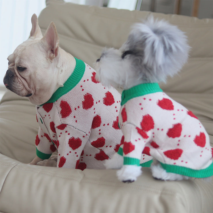 Pull chaud pour chien automne-hiver