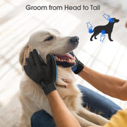 Gants de toilettage améliorés pour chiens, chats et chevaux