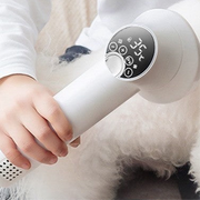 Sèche-Cheveux Professionnel pour Chien - Séchage Rapide et Silencieux