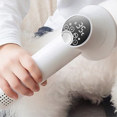 Sèche-Cheveux Professionnel pour Chien - Séchage Rapide et Silencieux