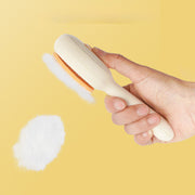 Brosse anti-poils pour chat et chien en acier inoxydable