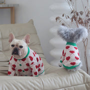 Pull chaud pour chien automne-hiver