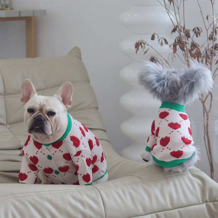 Pull chaud pour chien automne-hiver
