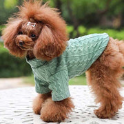 Pull épais pour petit chien automne-hiver