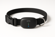 Image 1 - Collier GPS produit